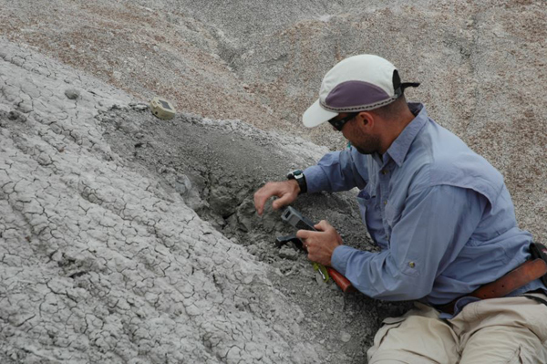 Daniel Peppe (Baylor University) collecting samples from the Naashoibito Member.