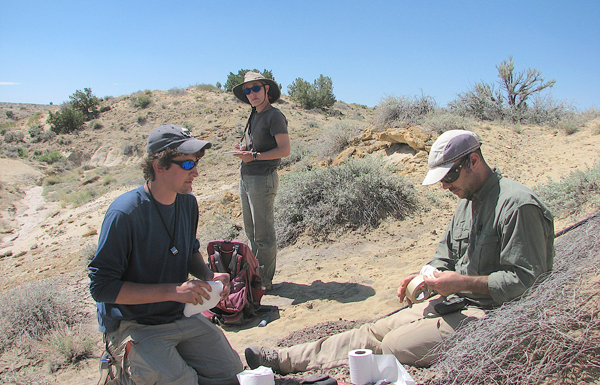 Team members collecting samples from the Naashoibito Member.