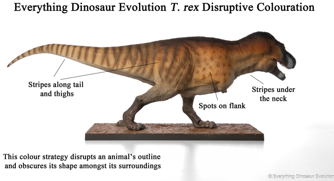 The disruptive colouration as part of the EDE001 T. rex painting plan.