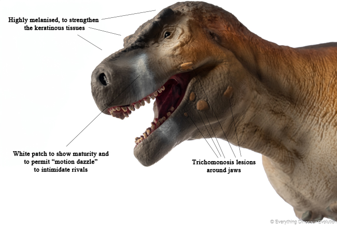 Motion dazzle is also considered as part of the T. rex painting plan.