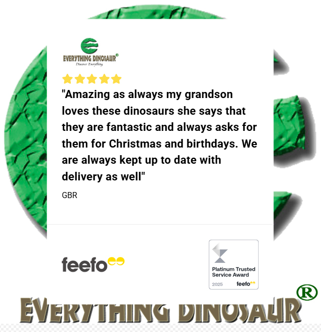 Everything Dinosaur amazing service. Genuine feedback from a customer praising Everything Dinosaur.