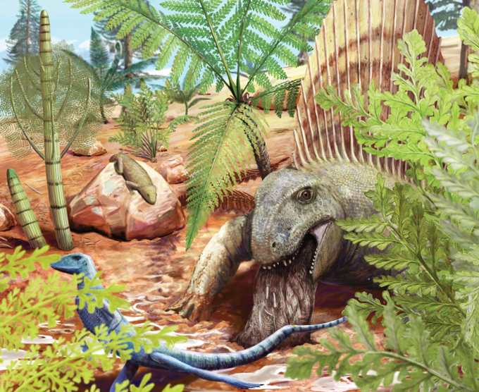 Bromacker bromalite study illustration.