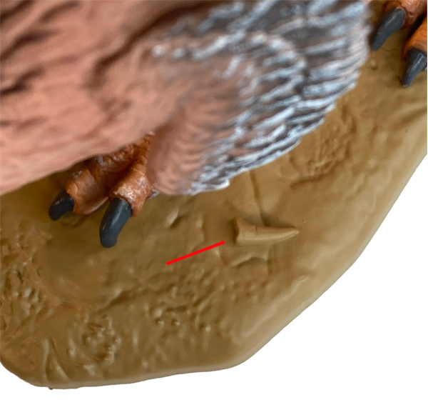 The terror bird Phorusrhacos model from CollectA has a tooth on its display base.