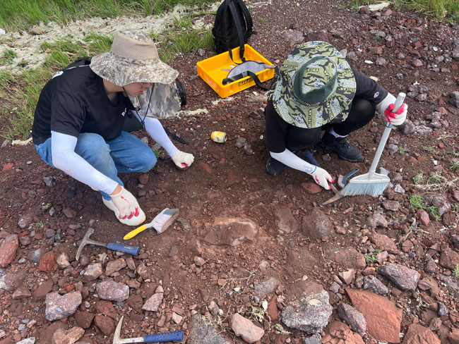 At the Doolysaurus dig site.