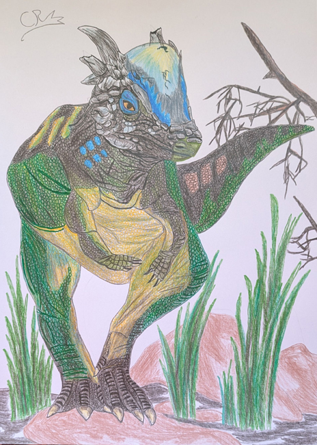 Beasts of the Mesozoic Pachycephalosaurus illustration.