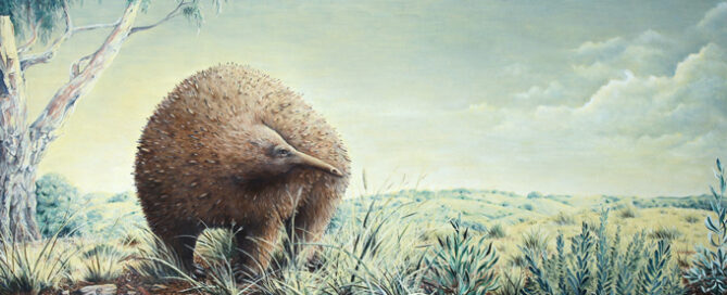 Megalibgwilia owenii life reconstruction.