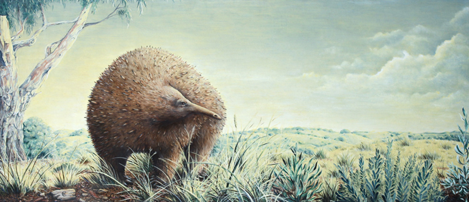 Rare Giant Echidna Fossil from Victoria Solves Ice Age Mystery