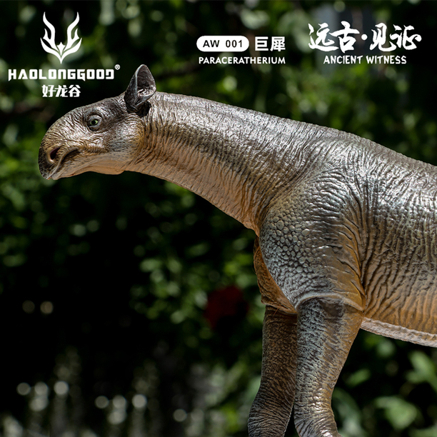 Haolonggood Paraceratherium ancient witness figure.