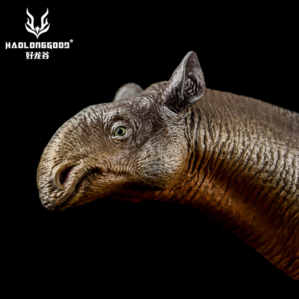 Paraceratherium model shown in close view.