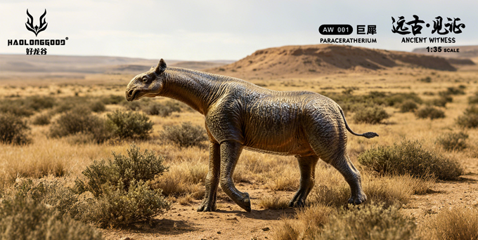 Haolonggood Ancient Witness Paraceratherium.
