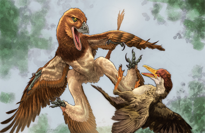 Jian changmaensis life reconstruction.