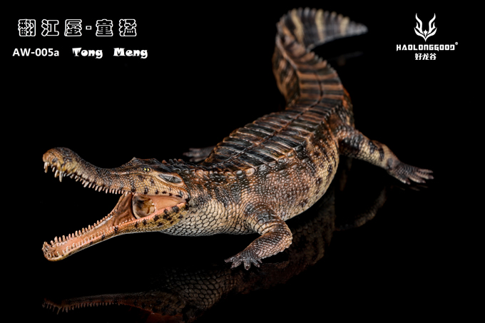 Haolonggood Sarcosuchus imperator (Tong Meng) figure.