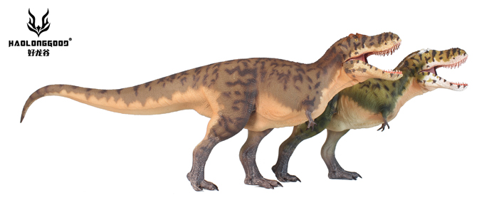 Haolonggood Tarbosaurus models