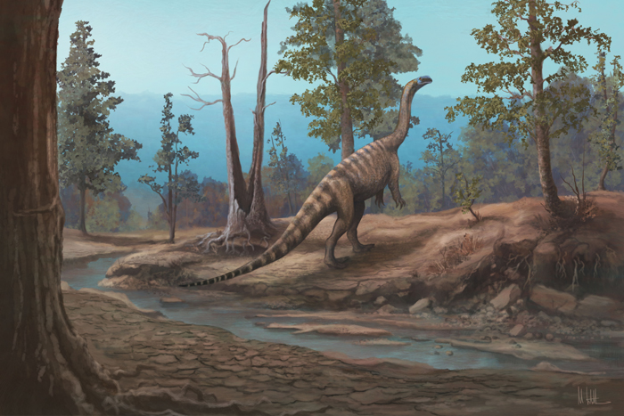 Musango matusadonaensis life reconstruction.
