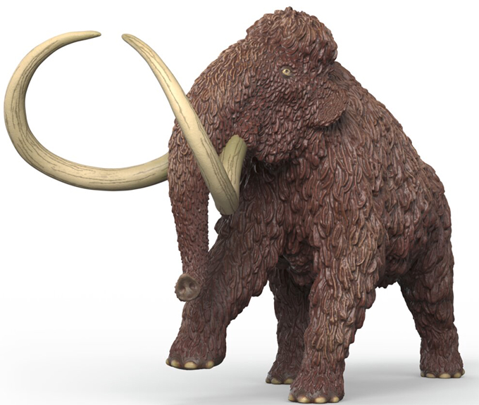 Schleich Woolly Mammoth figure.