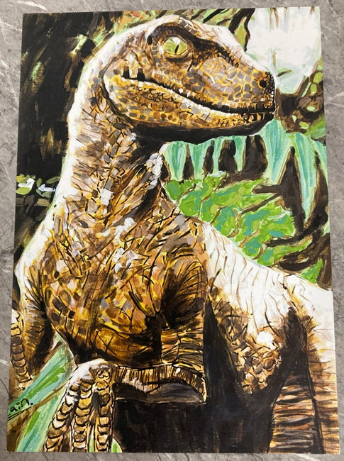 Young dinosaur artist Zain sent Everything Dinosaur a remarkable illustration of a Velociraptor inspired by the "Jurassic Park" film franchise.