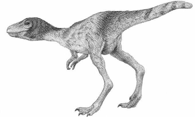 New study into Tyrannosaurus rex hatchlings.