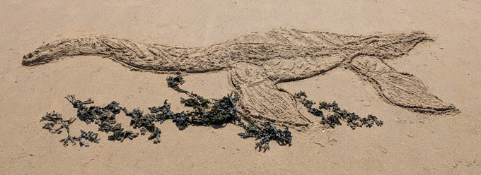 Prehistoric animal sand art.