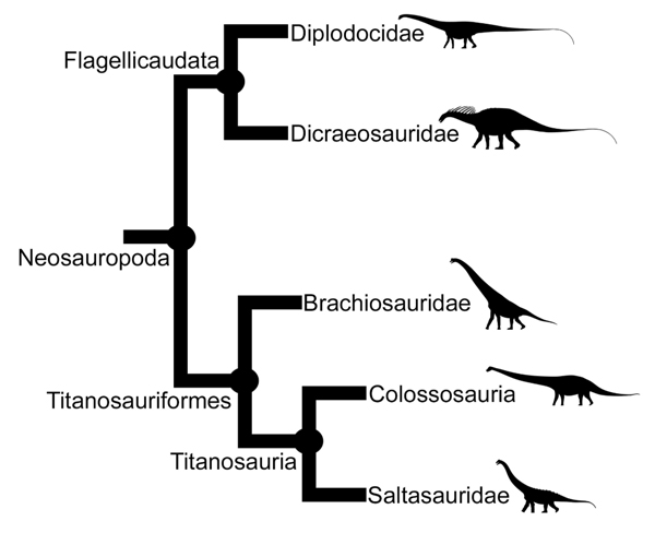 New Research Examines Sauropod Rearing Behaviour