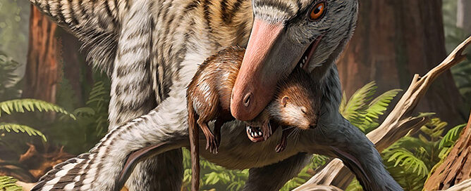 lose view of the life reconstruction of the recently described troodontid Dinevenator from the Late Cretaceous of New Mexico.