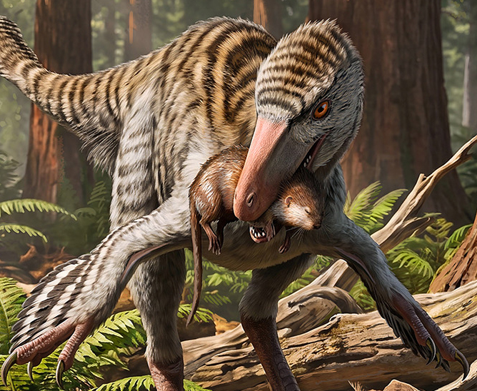 A New Genus of Troodontid Dinosaur from New Mexico