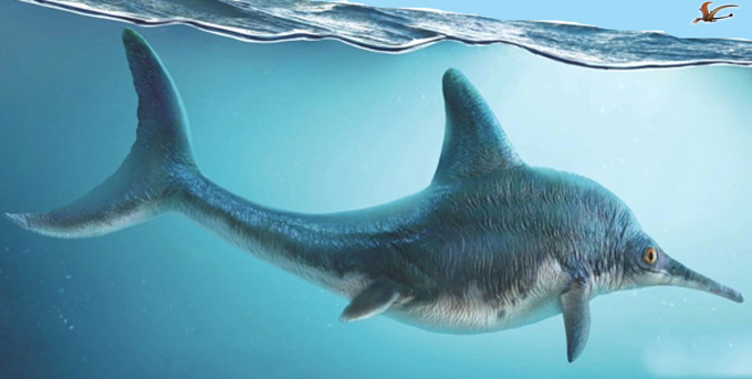 Ophthalmosaurian ichthyosaur life reconstruction.