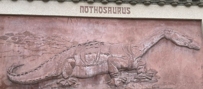 Nothosaurus marine reptile relief on display at the Berlin Aquarium.