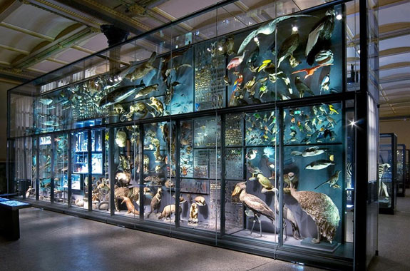 Animal sound archive at the Museum für Naturkunde Berlin is celebrated.