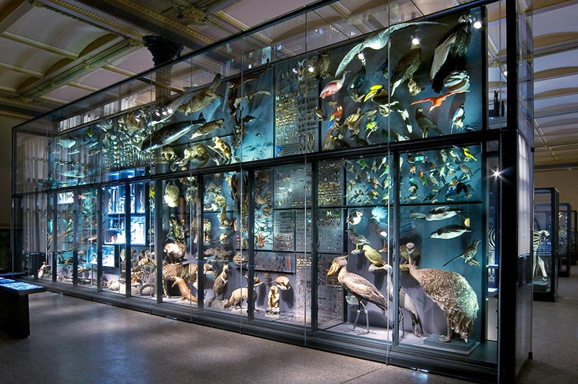 One of the remarkable Evolution in Action displays at the Museum für Naturkunde Berlin highlighting COP17 biodiversity action.