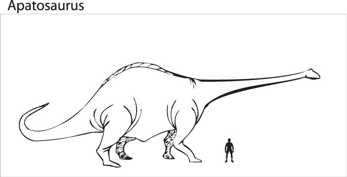 brontosaurus vs apatosaurus