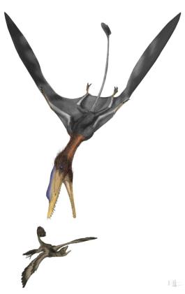 Did pterosaurs have feathers? Scientific debate takes flight in new study